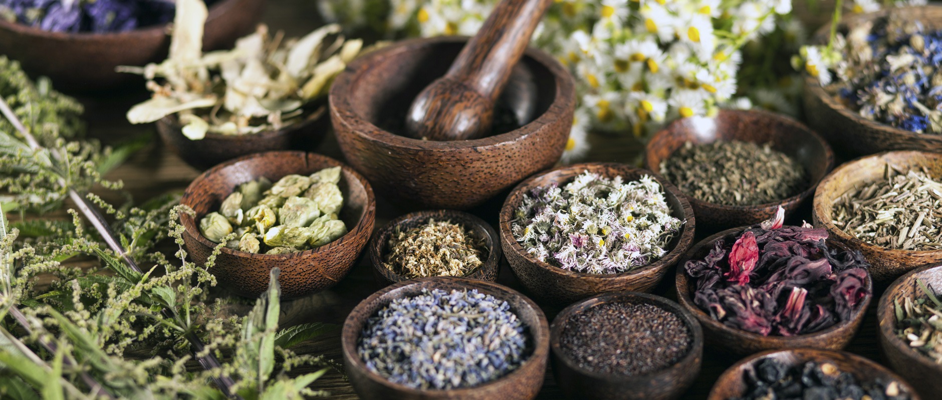 clinic_header