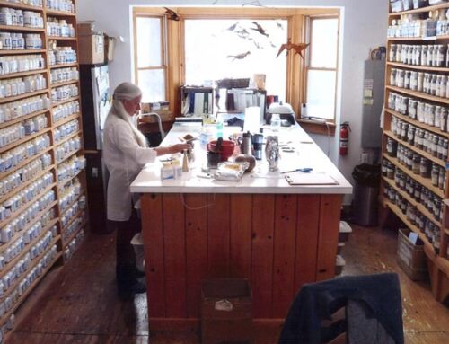 Sharon Weizenbaum on Classical Chinese Medicine: Cases (Staph, Diabetes, Epididymitis) (Part 3 of 3)