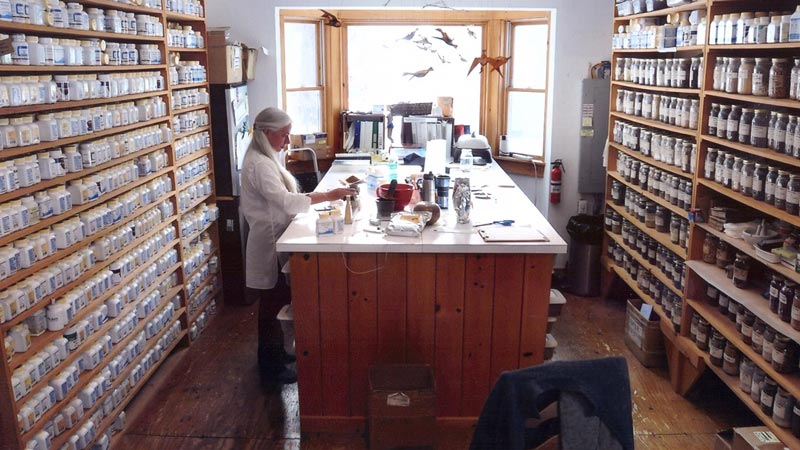 a woman with gray hair wearing a white doctor's coat stands at wooden counter in a room of shelves with Chinese medicinal herbs writing