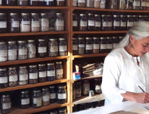 Sharon Weizenbaum on Classical Chinese Medicine: Pivot Conformations, Shao Yang, Shao Yin (Part 2 of 3)