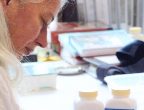 Sharon Weizenbaum on Classical Chinese Medicine: Clear Seeing, Diagnosis (Part 1 of 3)