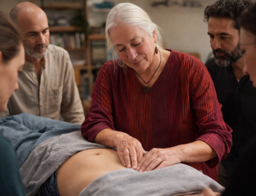 Upcoming Jing Fang Intensive in Beautiful Girona, Catalonia Region of Spain